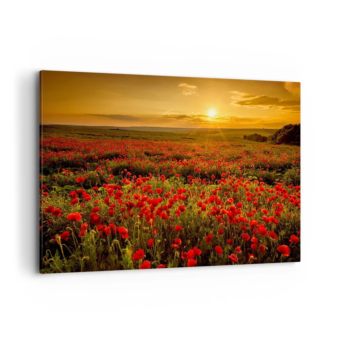 Lærredstryk - Billede på lærred - Blandt bølgerne af raslende enge, blandt flodblomster - 120x80 cm