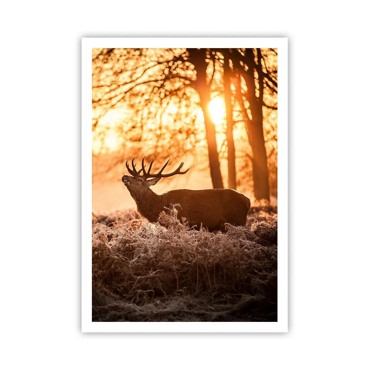 Plakat - En jægerdrøm - 70x100 cm