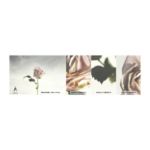 Prøve Fototapet Selvklæbende Deluxe Sticker - Velkomst til foråret - Rose, Blomst, Stykke - 100x30 cm