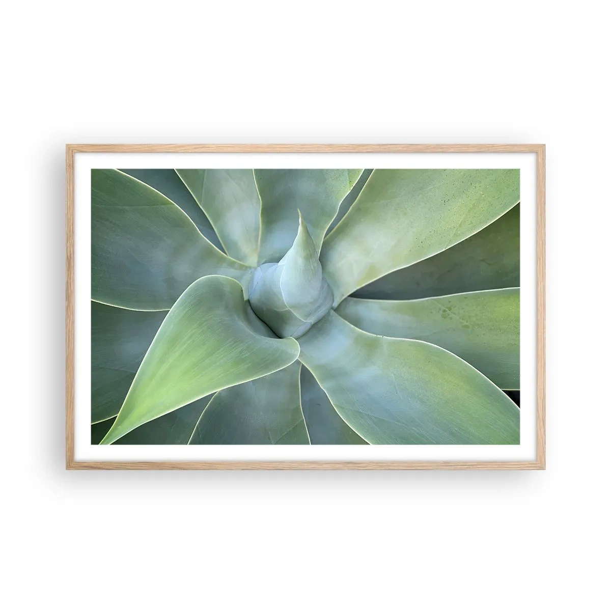 Plakat i ramme af lyst egetræ - Den grønne fødsel - 91x61 cm