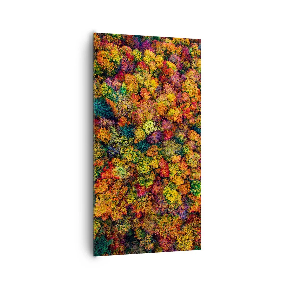Lærredstryk - Billede på lærred - Buket af efterårstræer - 65x120 cm