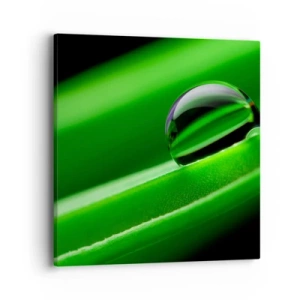 Lærredstryk - Billede på lærred - Livet på tæt hold - 40x40 cm