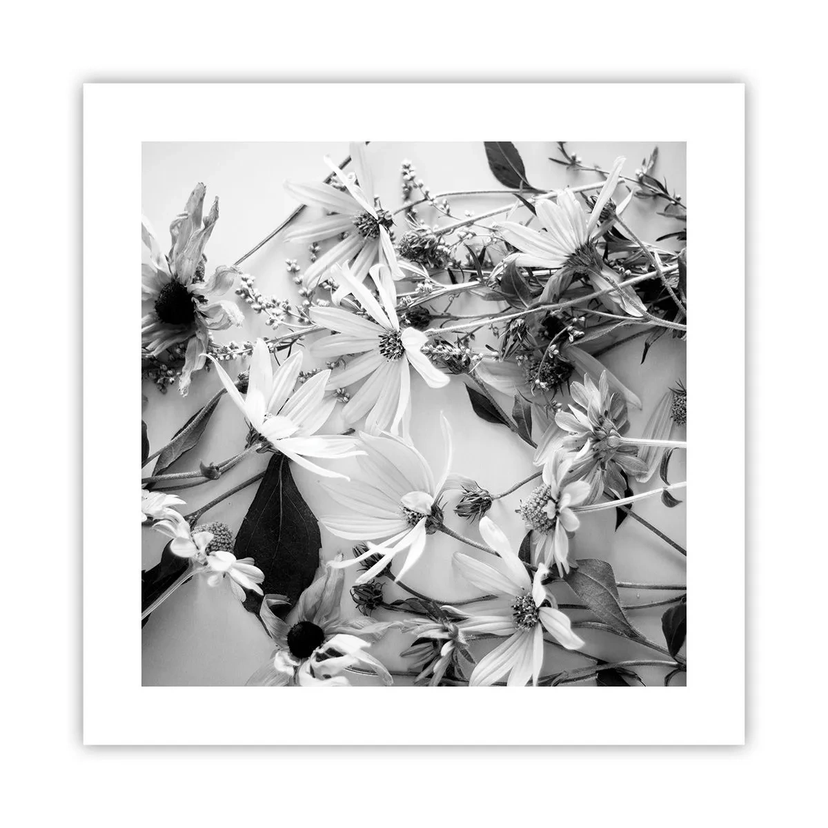 Plakat - Blomster uden buket - 40x40 cm