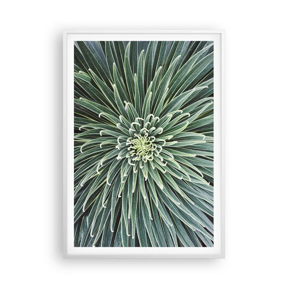 Plakat i hvid ramme - En stjernes fødsel - 70x100 cm