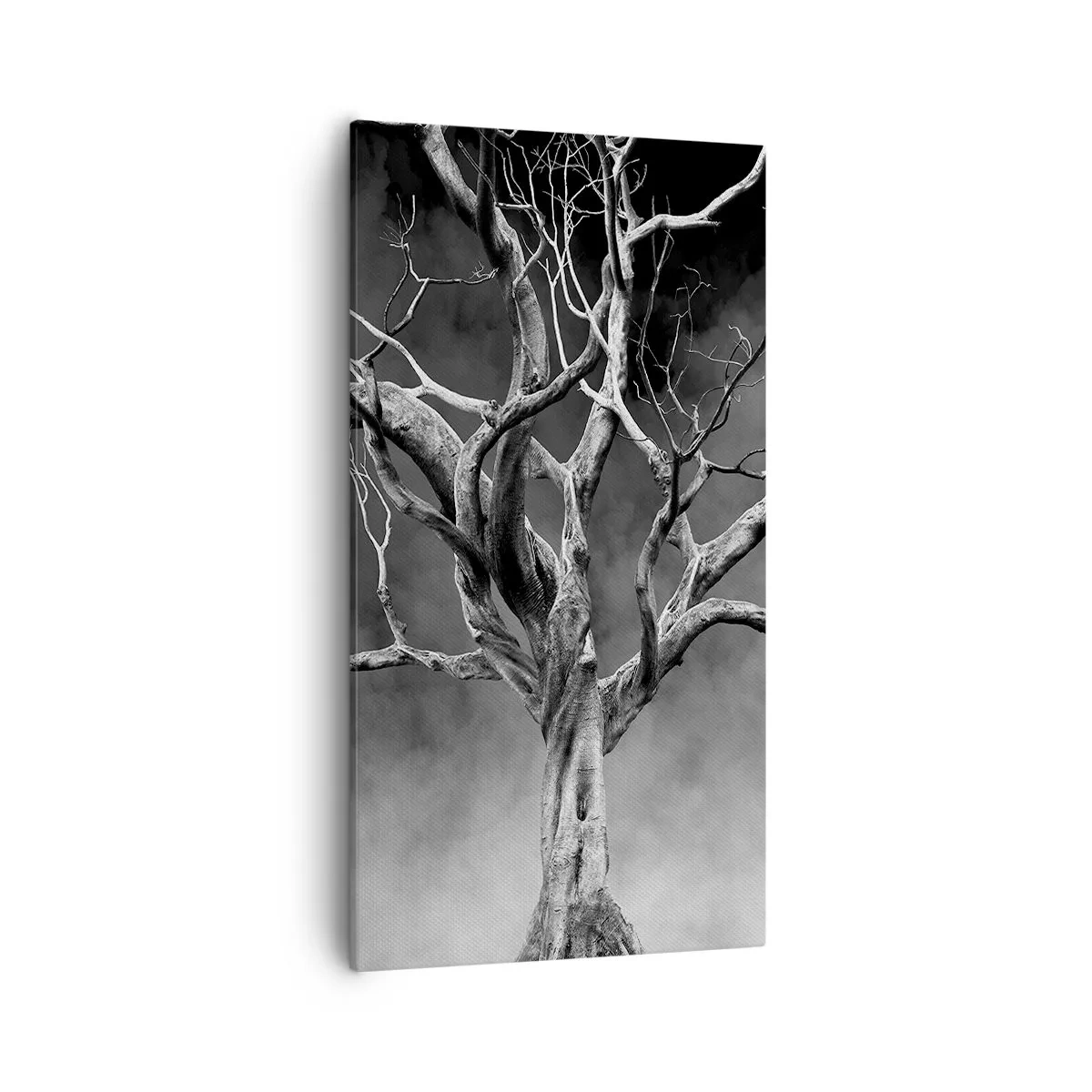 Lærredstryk - Billede på lærred - Primær og hellig - 55x100 cm