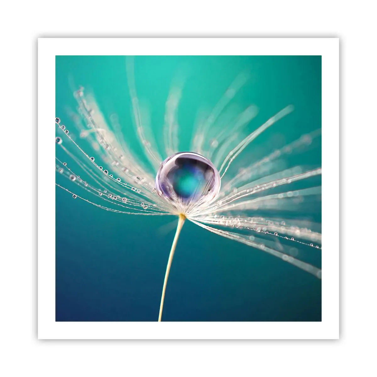 Plakat - Mystisk øjeblik - 60x60 cm