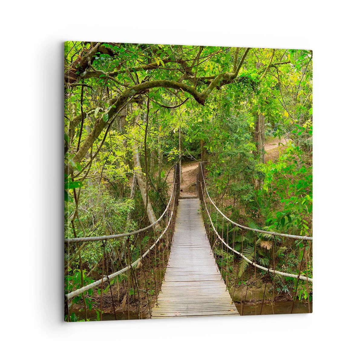 Lærredstryk - Billede på lærred - Fordi der vokser en slyngplante i haven - 60x60 cm