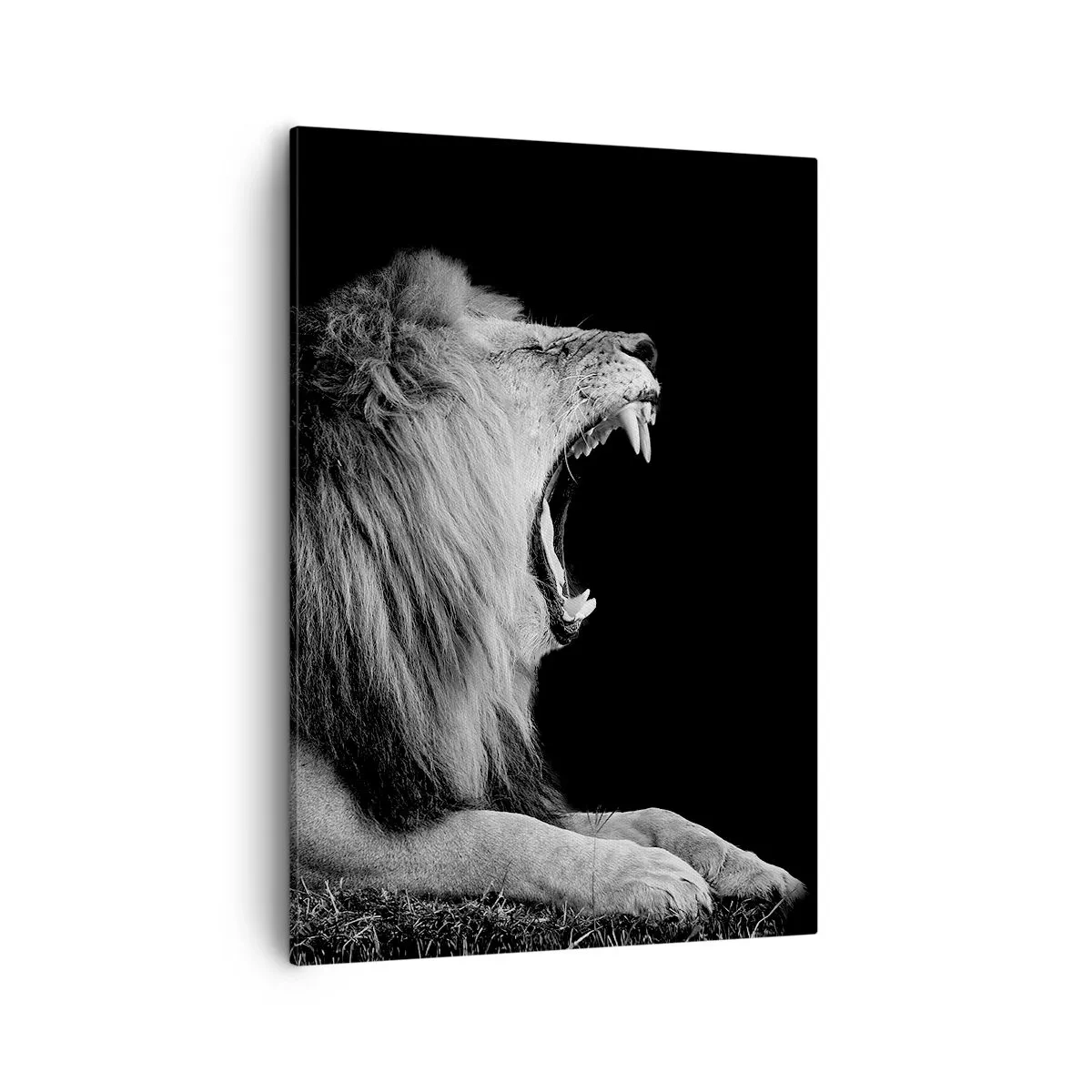 Lærredstryk - Billede på lærred - Uden tvivl - 50x70 cm