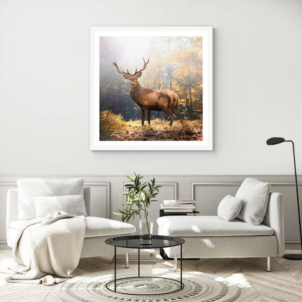 Plakat i hvid ramme - I fuld majestæt - 40x40 cm