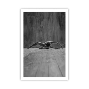 Plakat - Symmetri fundet - 61x91 cm