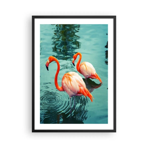 Plakat i sort ramme - To flamingoer mod baggrund af roligt vand - 50x70cm - Vi er nu på mode - Moderne vægdekoration til stue og soveværelse ARTTOR
