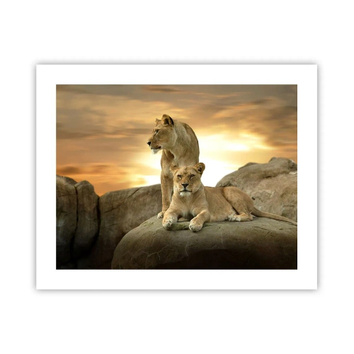 Plakat - Kongelig majestæt - 50x40 cm