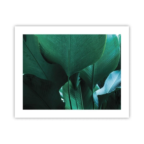 Plakat - Mod lyset - 50x40 cm