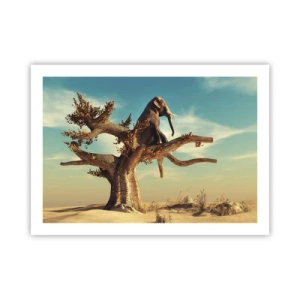 Plakat - Et nyt synspunkt - 70x50 cm