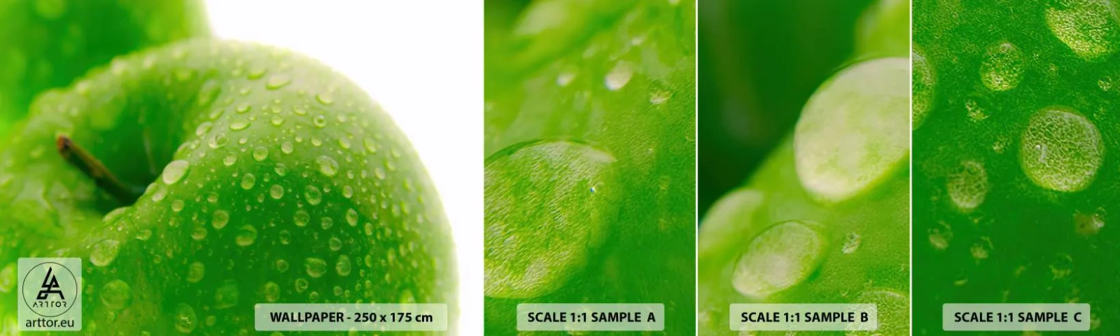 Fototapet Prøve Standard Eco - Grøn kølig friskhed - Frugt, Æble, Gastronomi - 100x30 cm