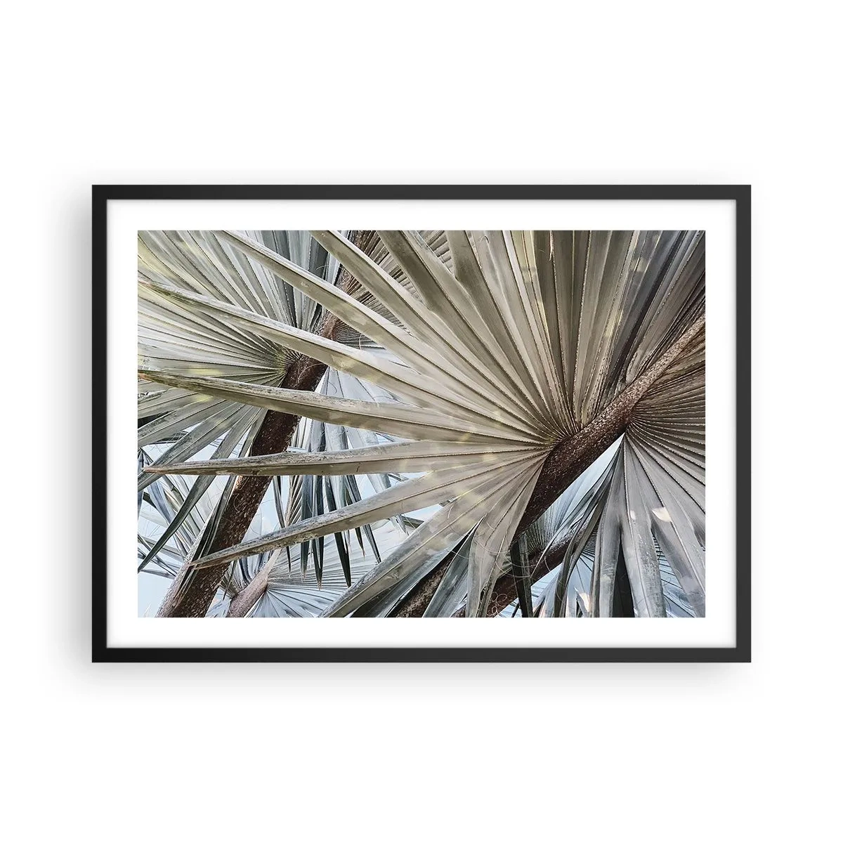 Plakat i sort ramme - Ventilatorer i troperne - 70x50 cm