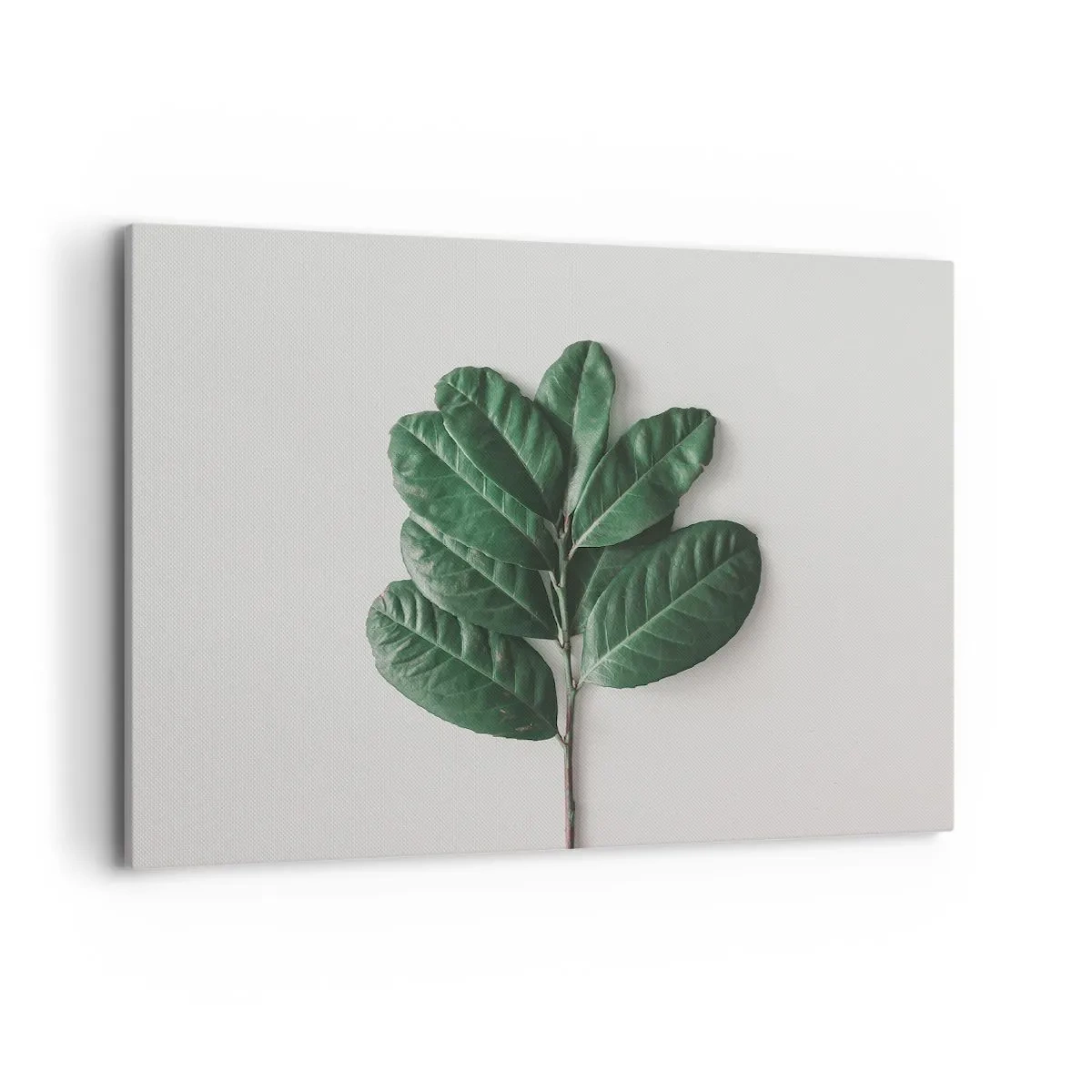 Lærredstryk - Billede på lærred - Tegning af selve naturen - 100x70 cm