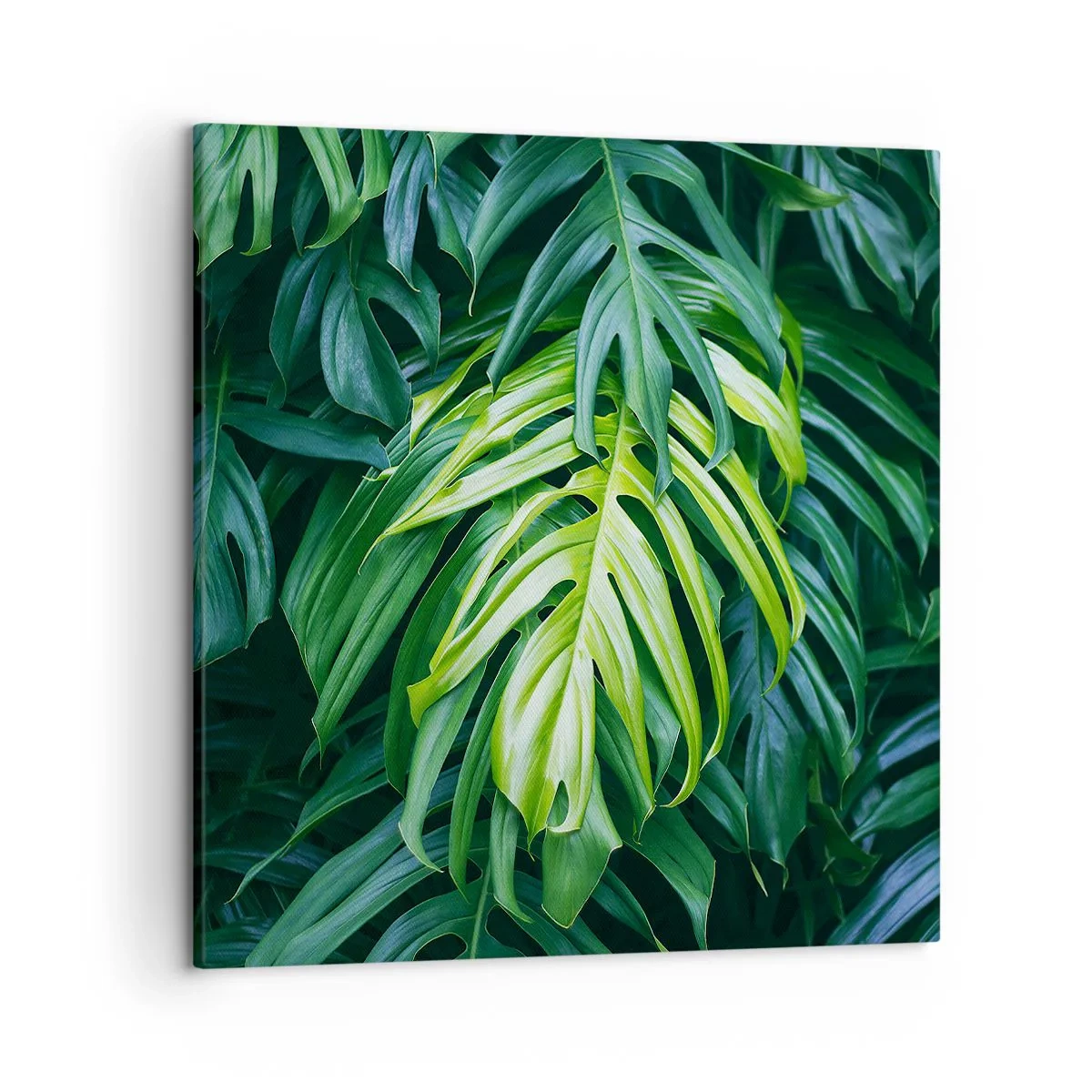 Lærredstryk - Billede på lærred - Fordyb dig i friskhed - 50x50 cm