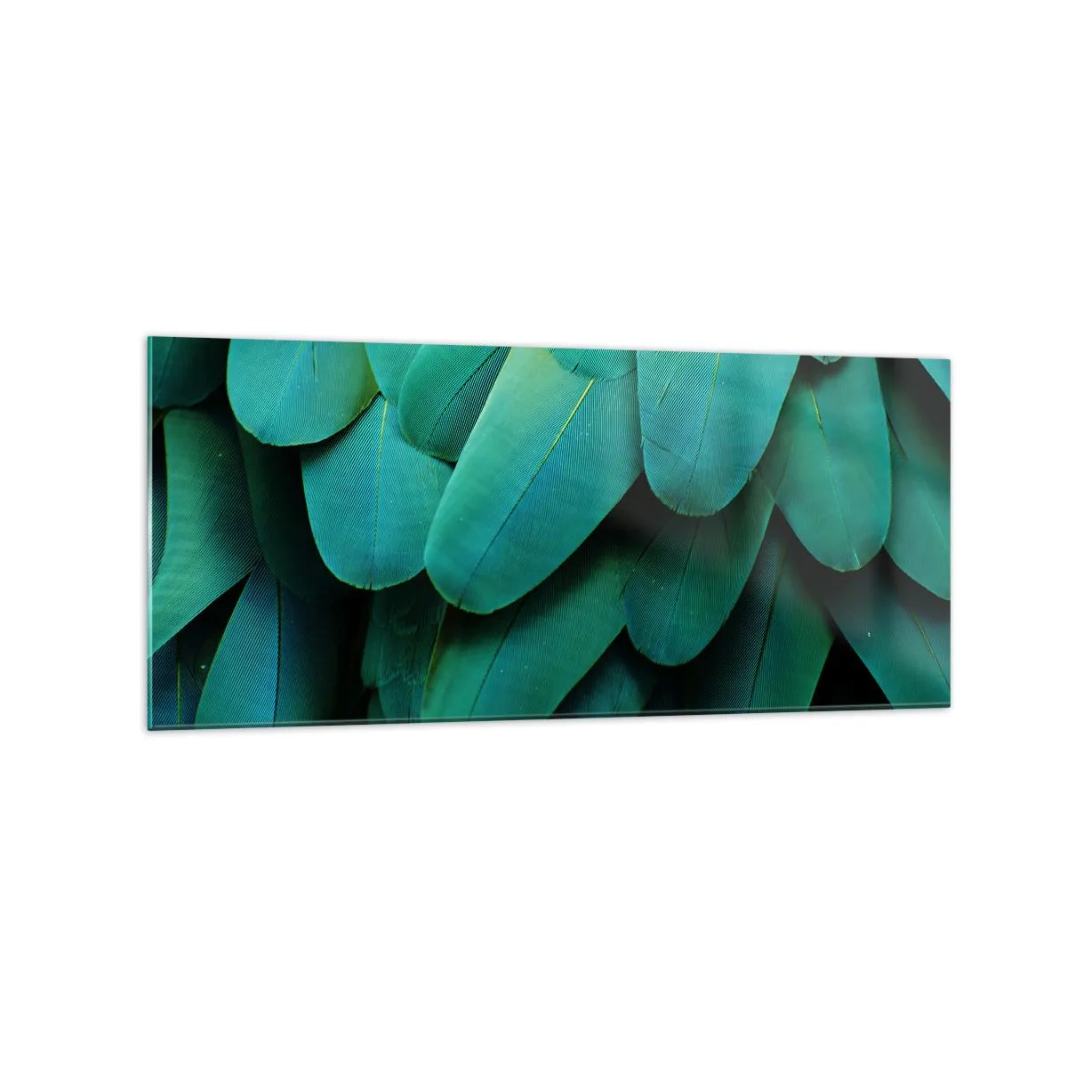 Billede på glas - Papegøjenaturens præcision - 120x50 cm