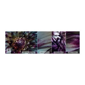 Prøve Fototapet Selvklæbende Deluxe Sticker - Ungdommens blomstring - Blomster, Dahlia, blomstrende blomst - 100x30 cm