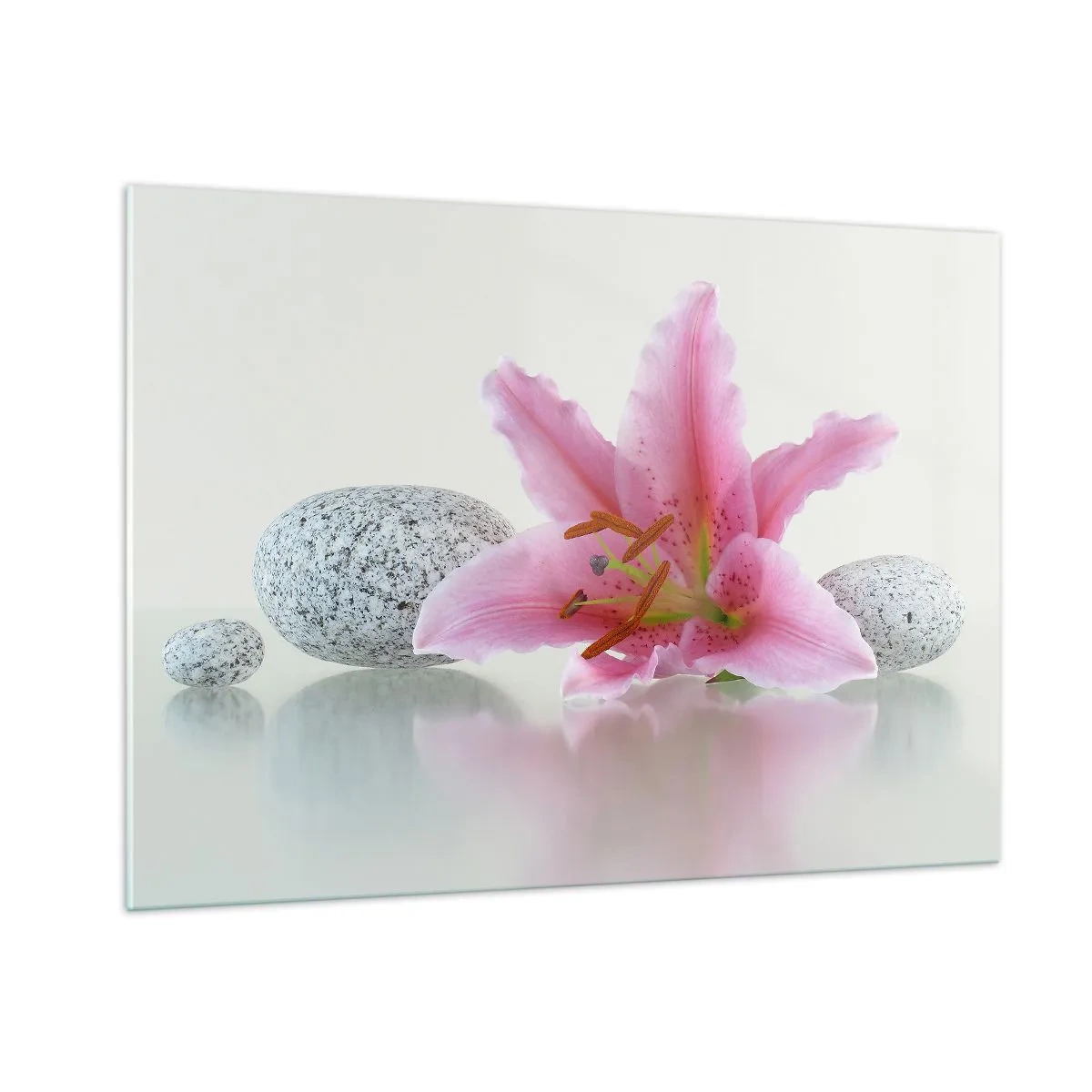 Billede på glas - Et studie i rosa, grå og hvid - 100x70 cm