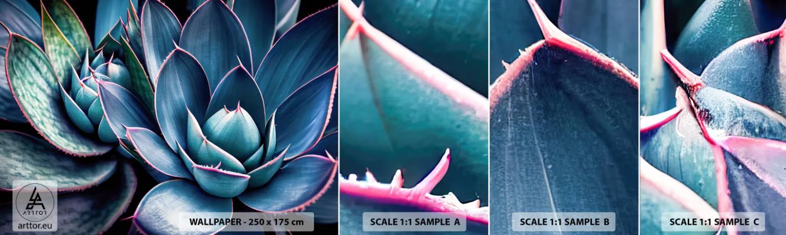 Prøve Fototapet Selvklæbende Deluxe Sticker - Vital kraft - Blomster, Botanik, Sukkulenter - 100x30 cm