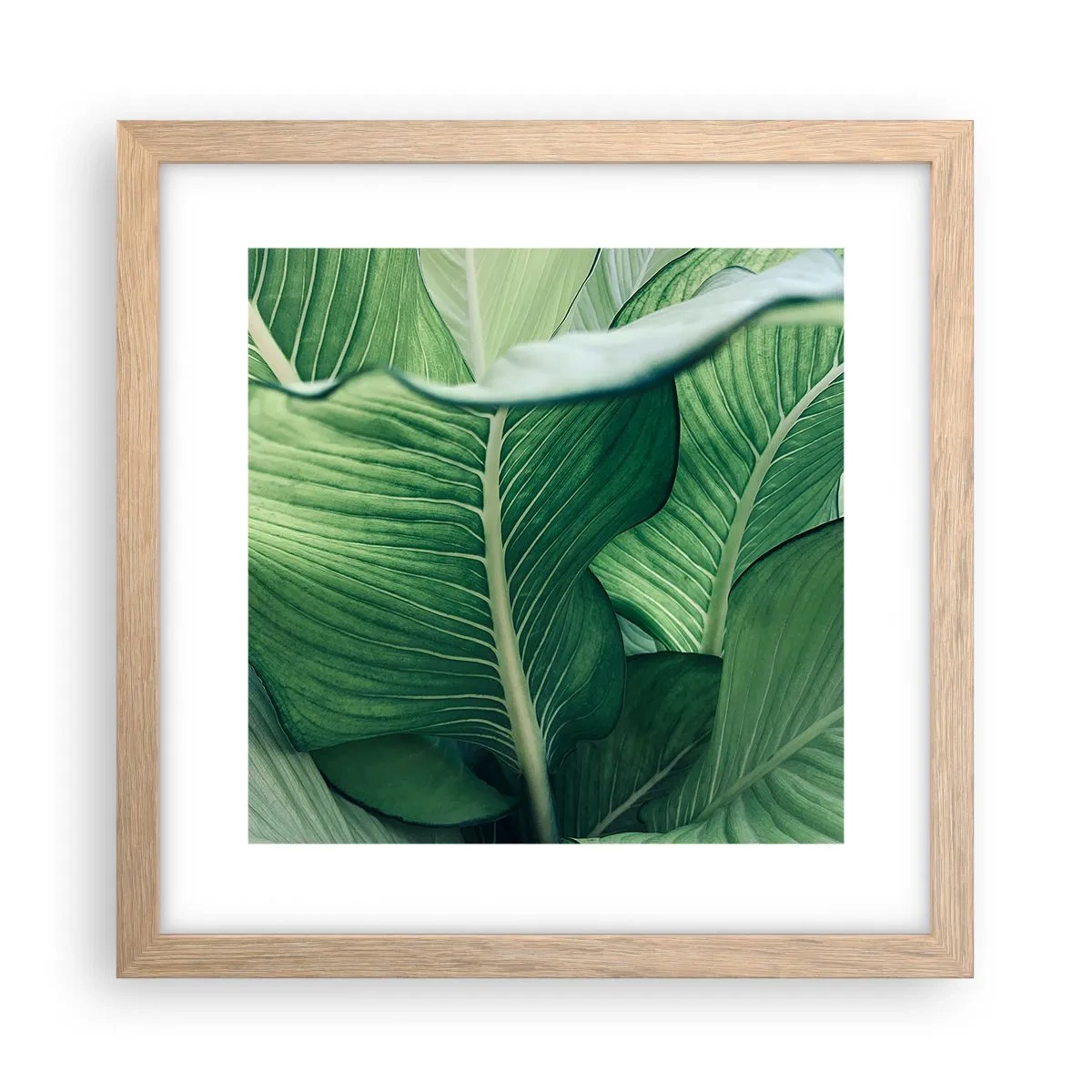 Plakat i ramme af lyst egetræ - Livet er intenst grønt - 30x30 cm
