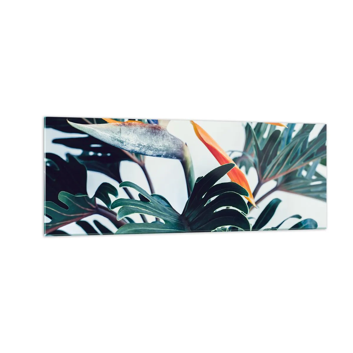 Billede på glas - Fuglebur - 140x50 cm