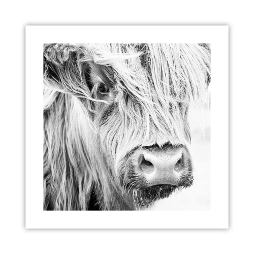 Plakat - Skotsk vildmark - 40x40 cm