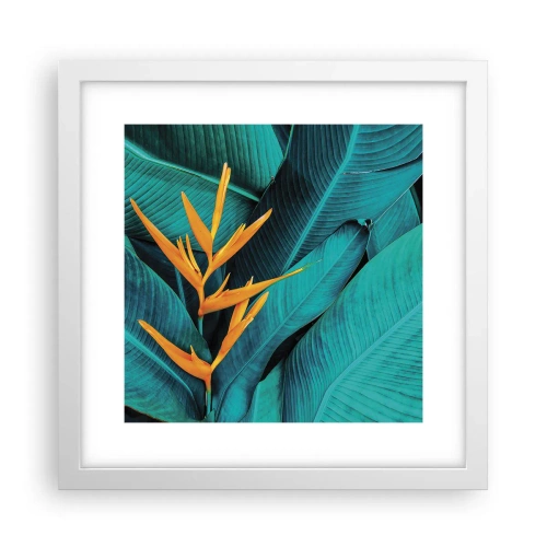 Plakat i hvid ramme - Edens blomst - 30x30 cm