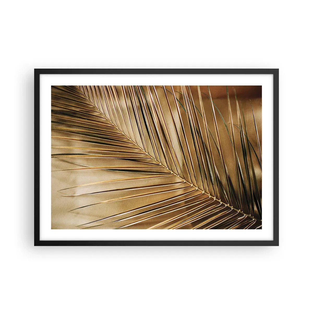 Plakat i sort ramme - Naturlig kolonnade - 70x50 cm