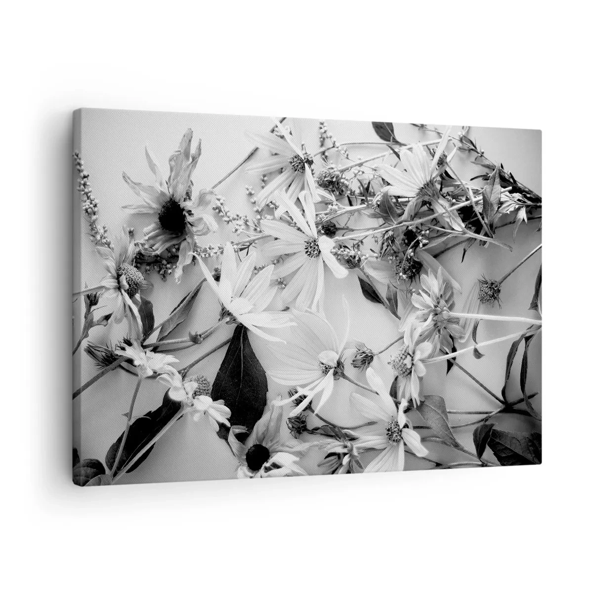 Lærredstryk - Billede på lærred - Sort-hvide blomsterarrangementer i en diskret kunstnerisk stil - 70x50cm - Blomster uden buket - Moderne vægdekoration til stue og soveværelse ARTTOR