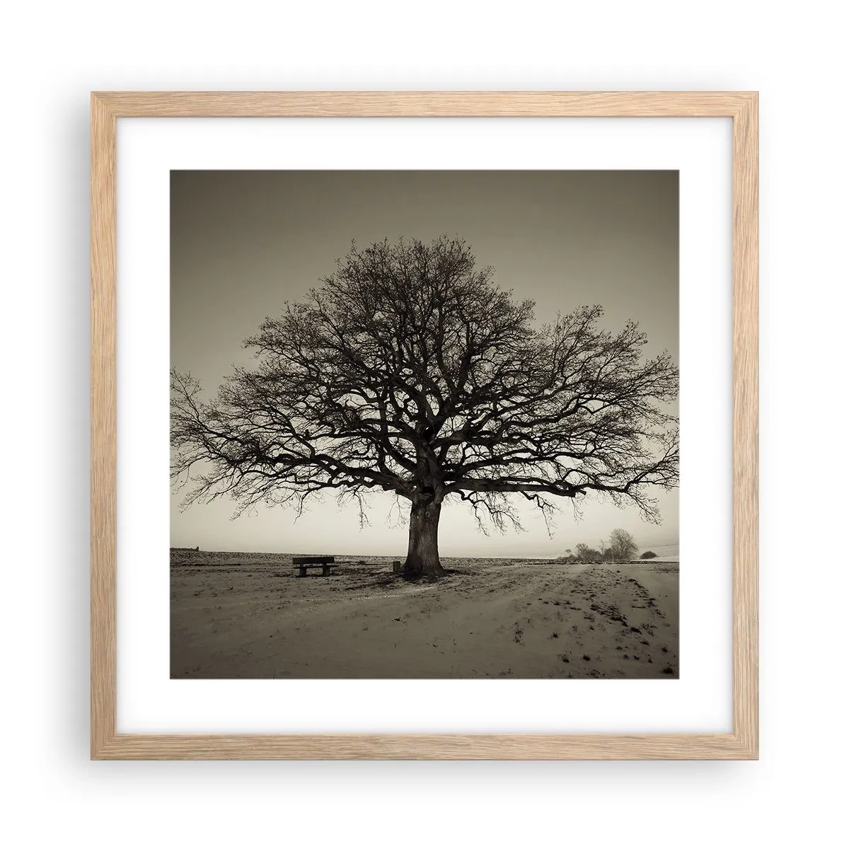 Plakat i ramme af lyst egetræ - Herfra og til evigheden - 40x40 cm