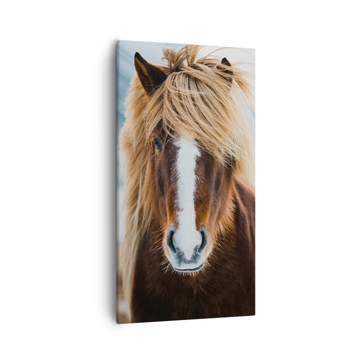 Lærredstryk - Billede på lærred - Kan du mærke friheden? - 55x100 cm