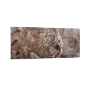 Billede på glas - Tid til at flyve væk med vinden - 100x40 cm