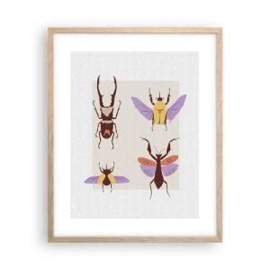 Plakat i ramme af lyst egetræ - Insekternes verden - 40x50 cm