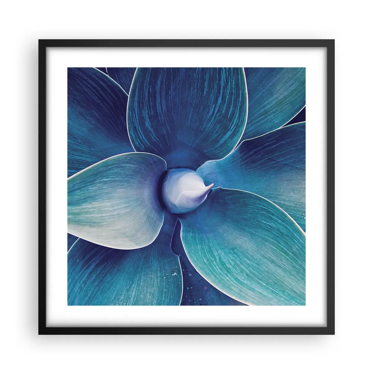 Plakat i sort ramme - Blå fra himlen - 50x50 cm