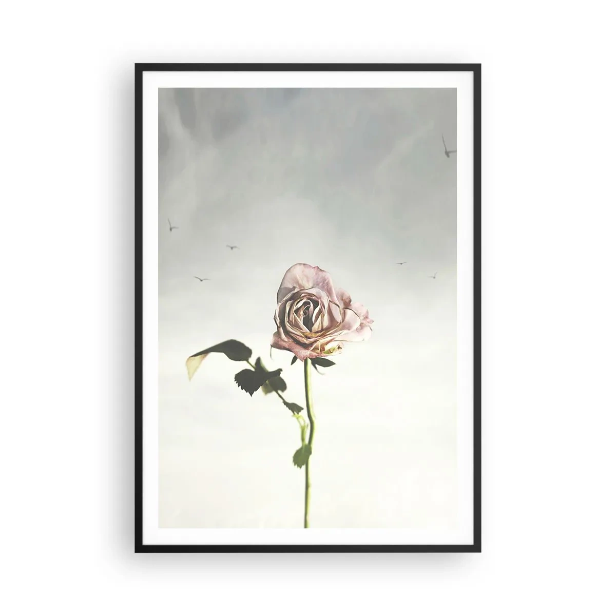 Plakat i sort ramme - Velkomst til foråret - 70x100 cm