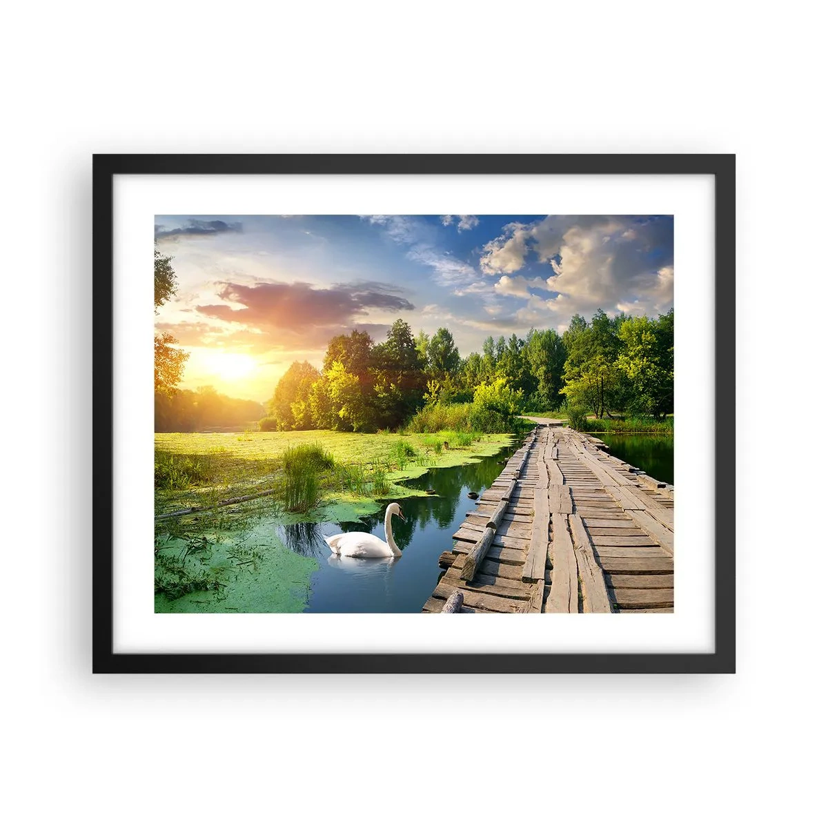 Plakat i sort ramme - Sommer, sommer overalt - 50x40 cm