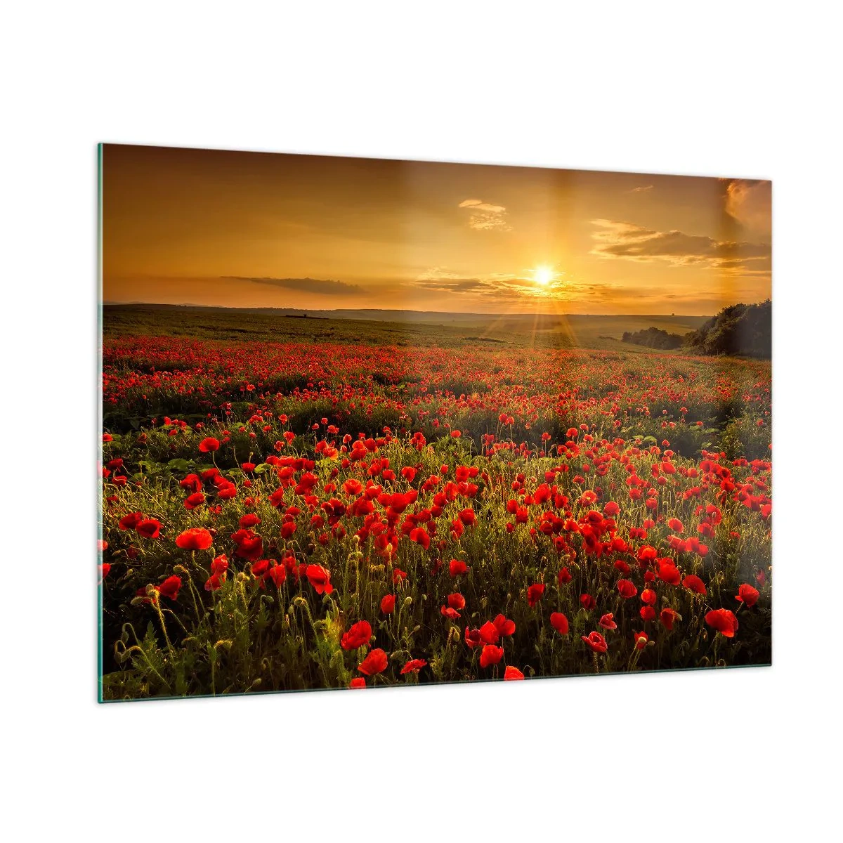 Billede på glas - Blandt bølgerne af raslende enge, blandt flodblomster - 100x70 cm