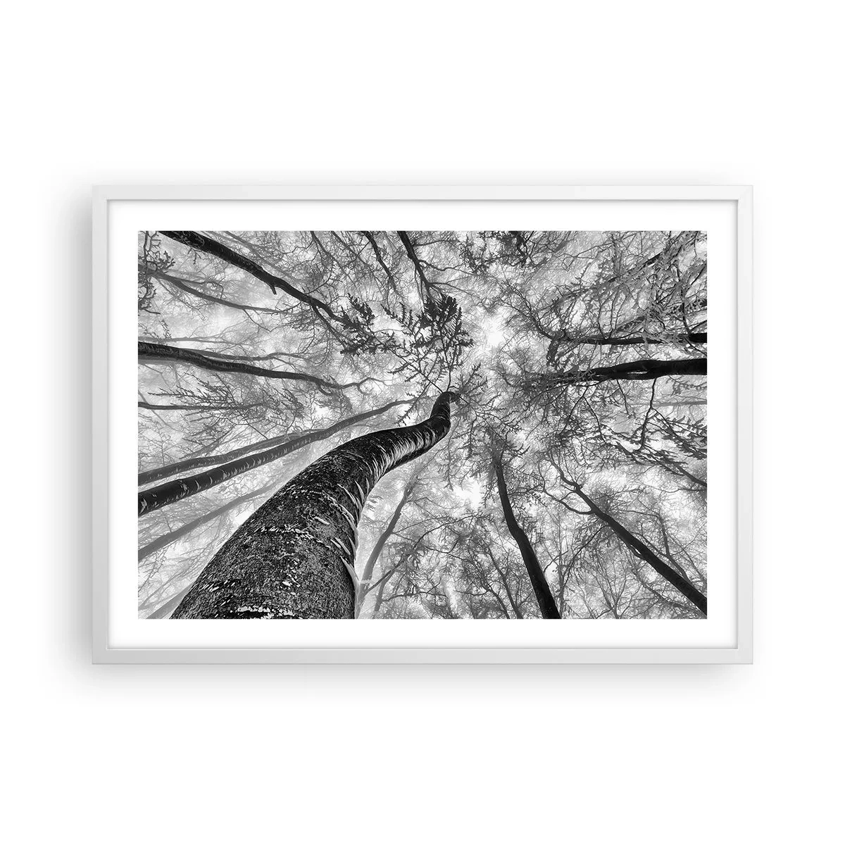 Plakat i hvid ramme - Kapløb mod lyset - 70x50 cm