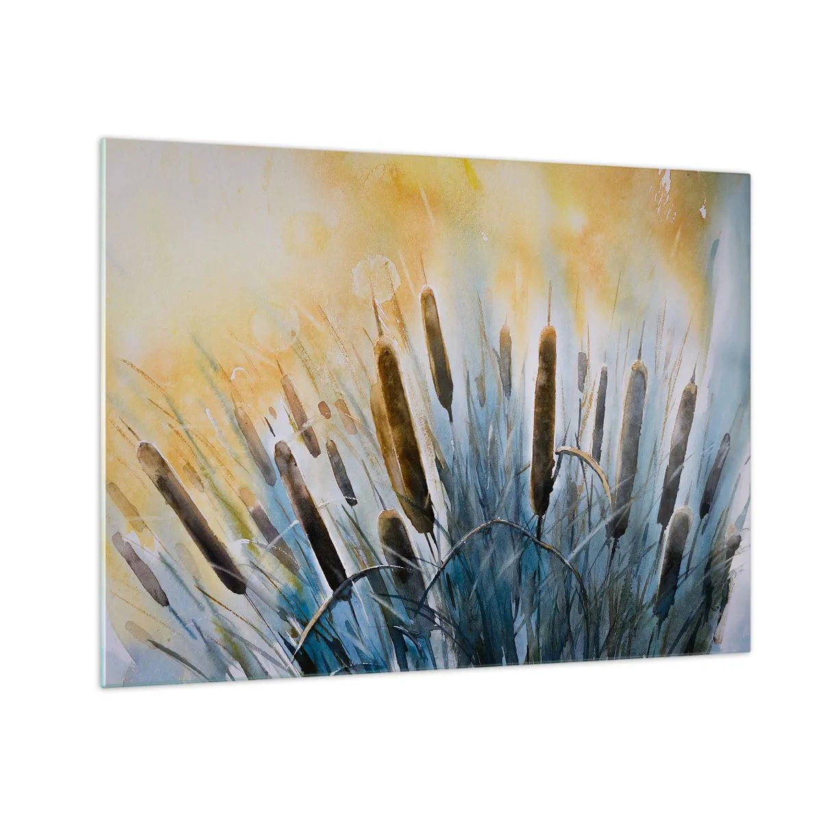 Billede på glas - Malede cattails mod en solrig himmel - 70x50cm - Vandets kulde, solens varme - Moderne vægdekoration til stue og soveværelse ARTTOR