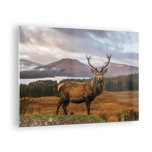 Billede på glas - Hjorte mod en baggrund af maleriske bjerge og skove - 70x50cm - Naturens majestæt - Moderne vægdekoration til stue og soveværelse ARTTOR