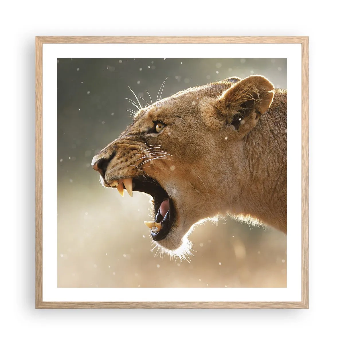 Plakat i ramme af lyst egetræ - Prøv ikke at lytte - 60x60 cm