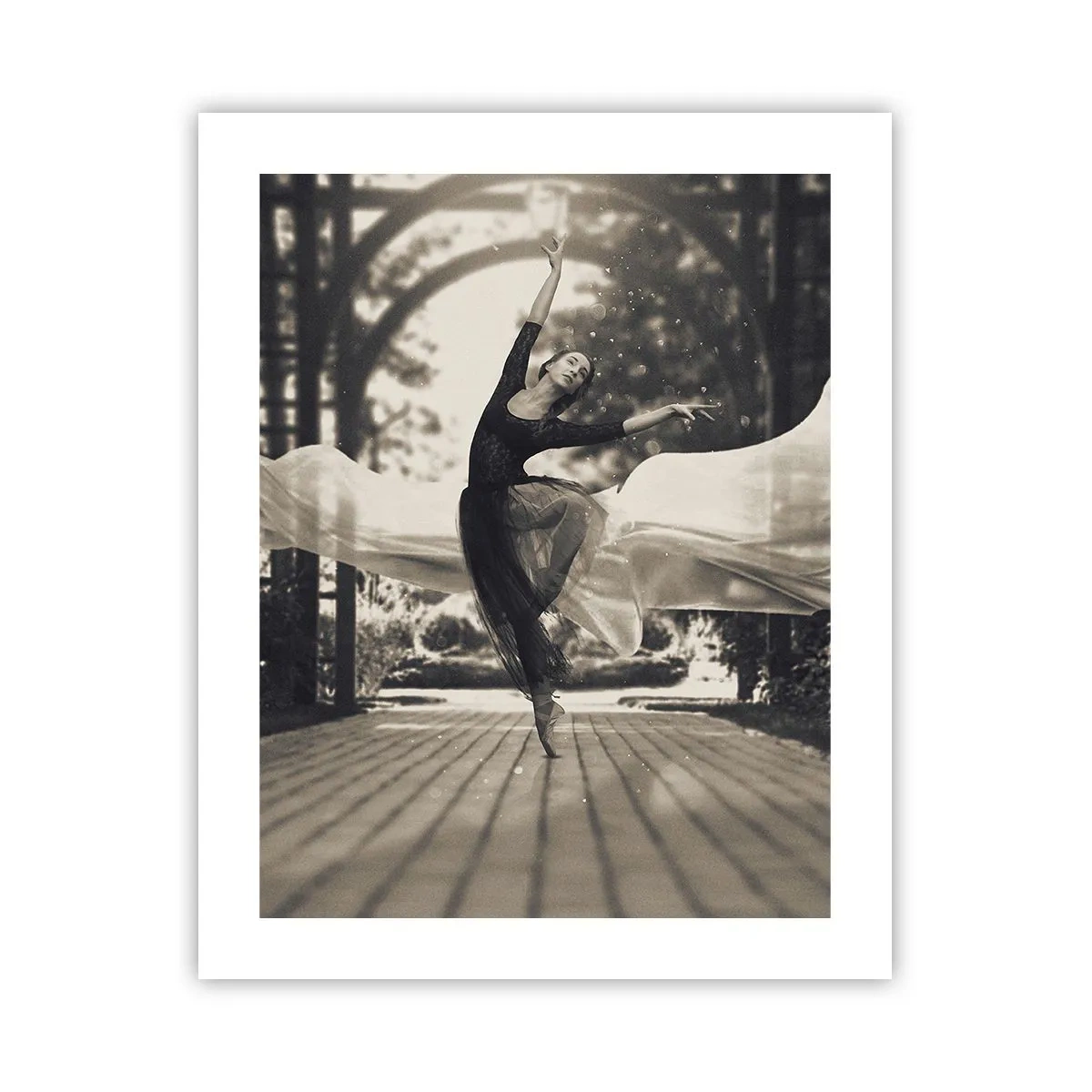 Plakat - Dans i haven - 40x50 cm