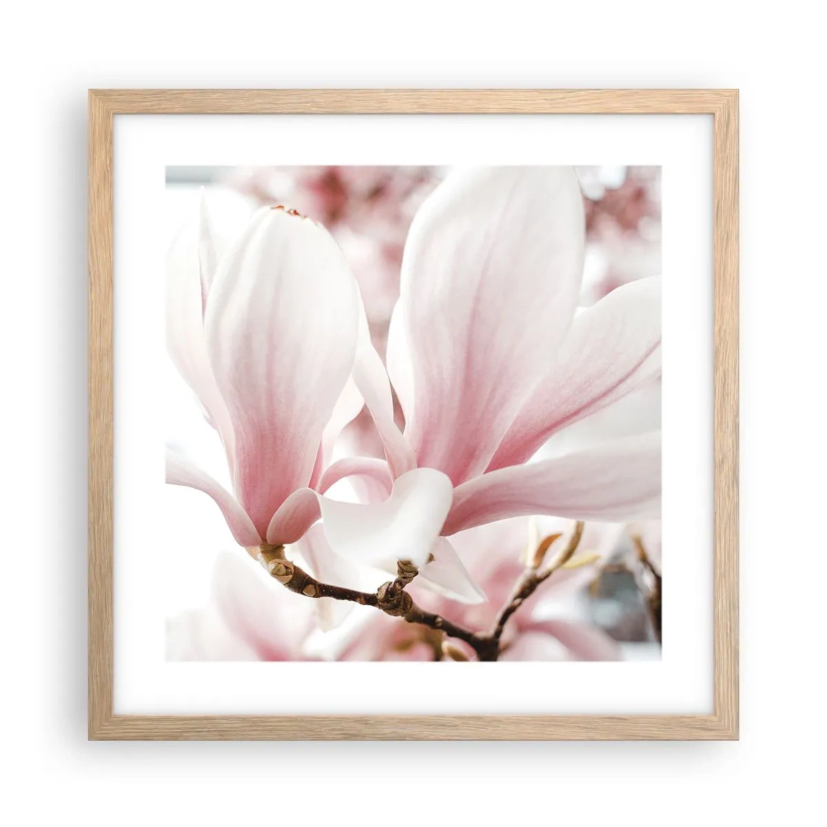 Plakat i ramme af lyst egetræ - Ømhedens umådelighed - 40x40 cm