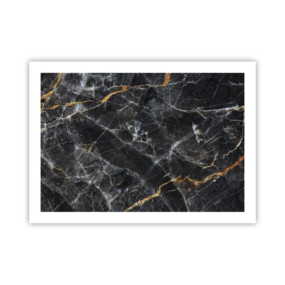 Plakat - En stens indre liv - 70x50 cm