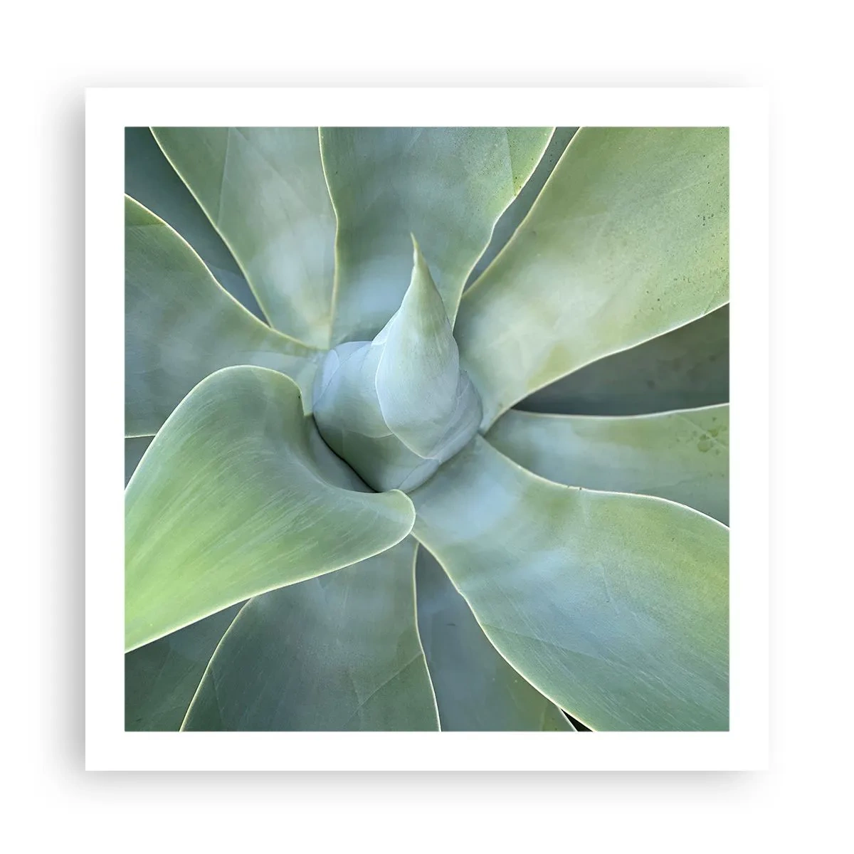 Plakat - Den grønne fødsel - 60x60 cm