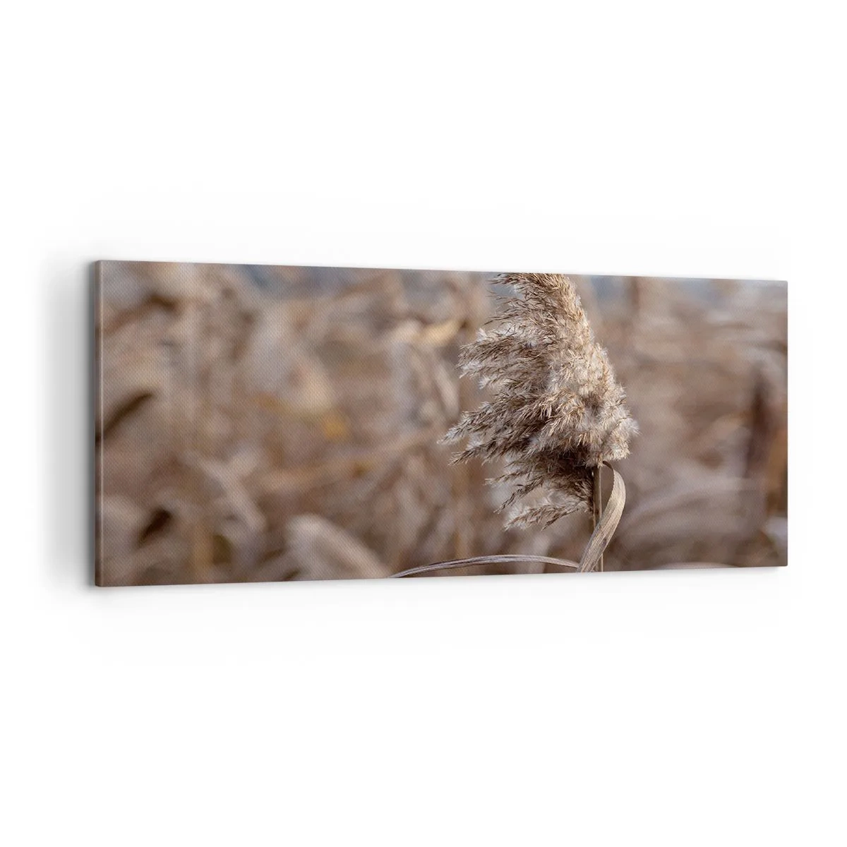 Lærredstryk - Billede på lærred - Tid til at flyve væk med vinden - 100x40 cm