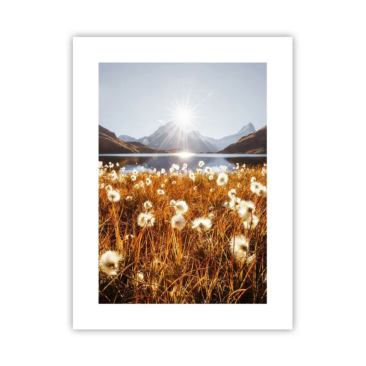 Plakat - Hårdhed af sten, blødhed af græs - 30x40 cm